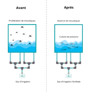 Description schématique du procédé