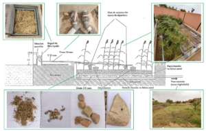 Système d'épuration des effluents de la laverie d'Izilf (Profil) de composantes similaires de celle de Tabesbaste